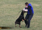 IMG 0026 copy